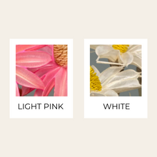 Load image into Gallery viewer, Handmade Daisies