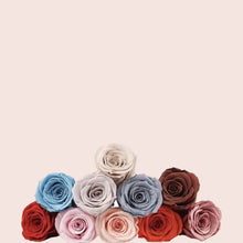 Load image into Gallery viewer, Preserved Rose (6 Heads)