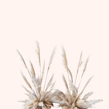 Load image into Gallery viewer, Toe Toe Stands