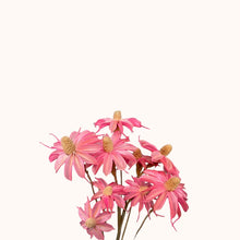 Load image into Gallery viewer, Handmade Daisies