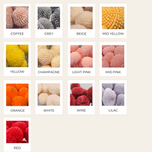 Load image into Gallery viewer, Preserved Craspedia