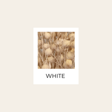 Load image into Gallery viewer, Preserved or Dried Linseed