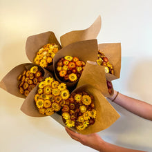 Load image into Gallery viewer, Straw Flowers Yellow