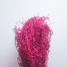 Load image into Gallery viewer, Fuchsia Coral