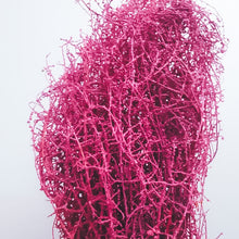 Load image into Gallery viewer, Fuchsia Coral