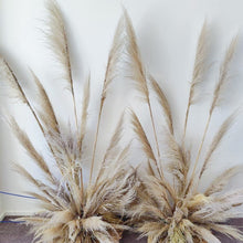 Load image into Gallery viewer, Toe Toe Stands
