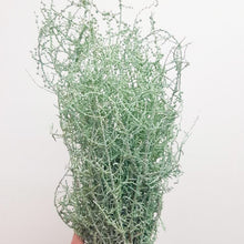 Load image into Gallery viewer, Turquoise Coral
